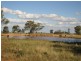 * Wilga, Albert NSW 2873