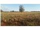 * Wilga, Albert NSW 2873