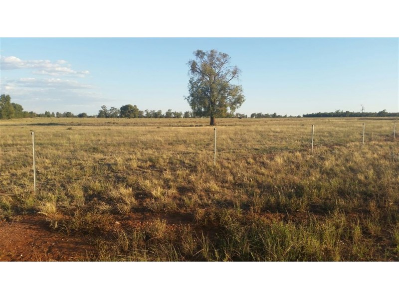 * Wilga, Albert NSW 2873