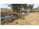 * Wilga, Albert NSW 2873
