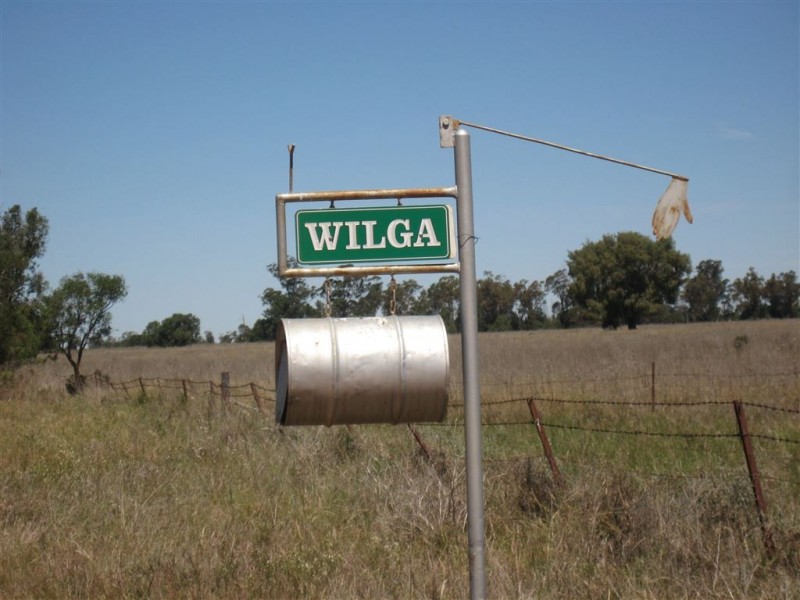 * Wilga, Albert NSW 2873
