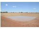 * Wilga, Albert NSW 2873