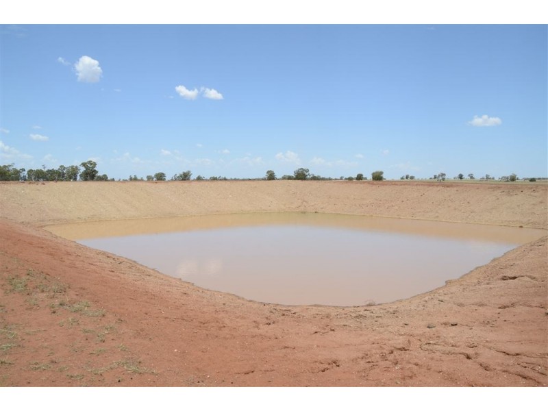 * Wilga, Albert NSW 2873