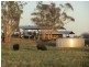* Wilga, Albert NSW 2873