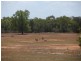 * Boorooma, Cobar NSW 2835