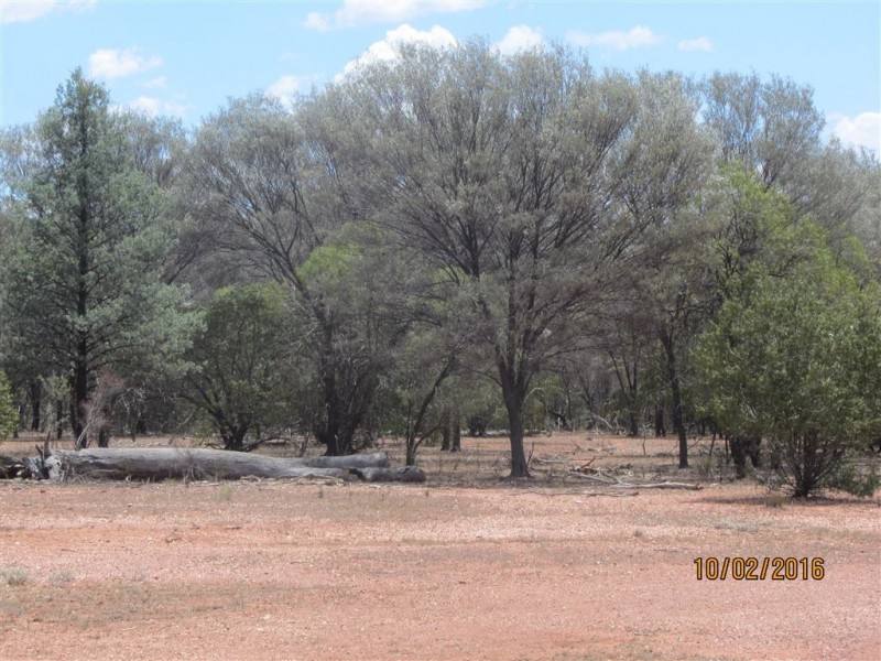 * Boorooma, Cobar NSW 2835