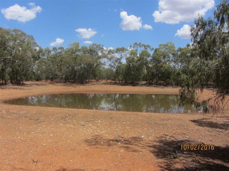 * Boorooma, Cobar NSW 2835