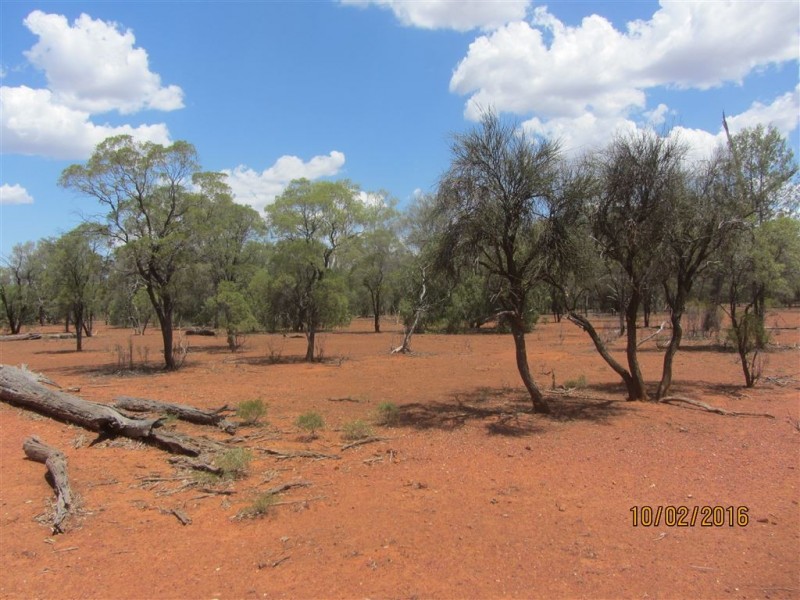 * Boorooma, Cobar NSW 2835