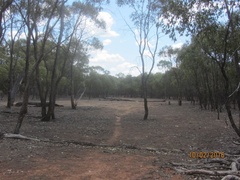* Boorooma, Cobar NSW 2835