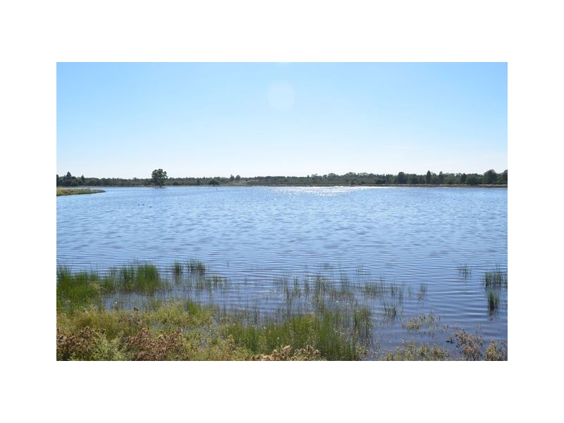 * Gowrie, Cobar NSW 2835