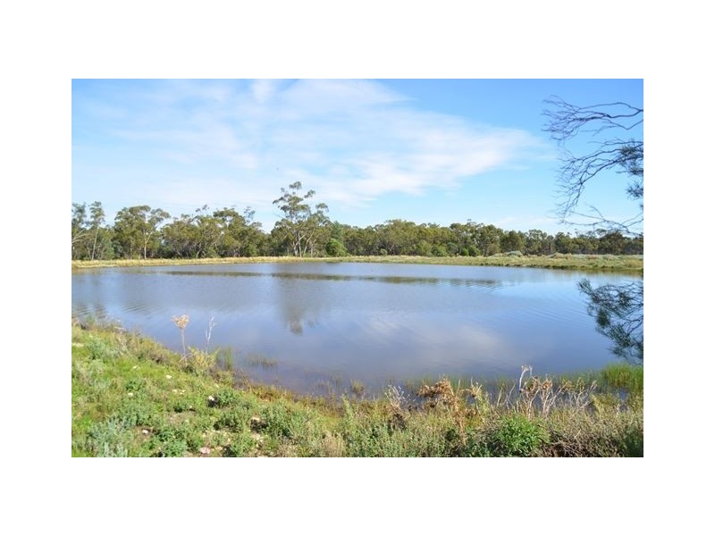* Gowrie, Cobar NSW 2835