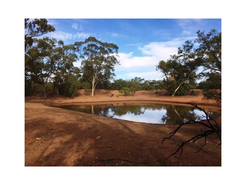 * Back Booroomugga, Cobar NSW 2835