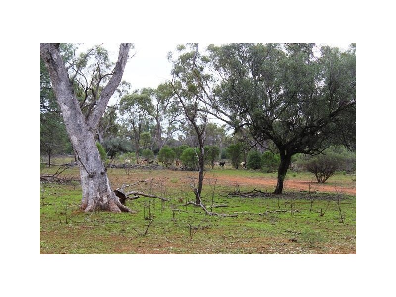 * Back Booroomugga, Cobar NSW 2835