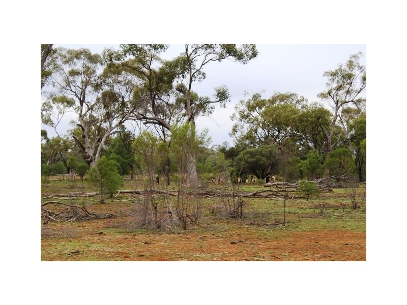 * Back Booroomugga, Cobar NSW 2835