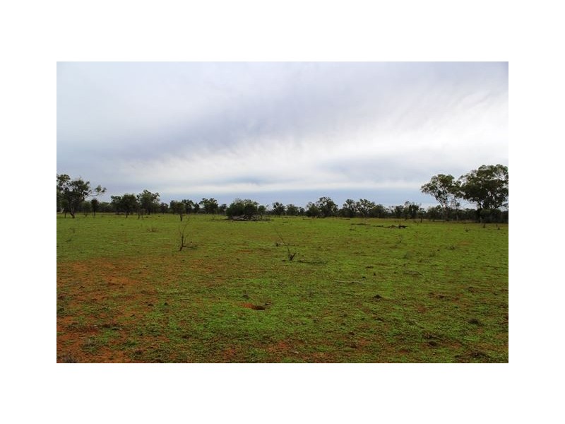 * Back Booroomugga, Cobar NSW 2835