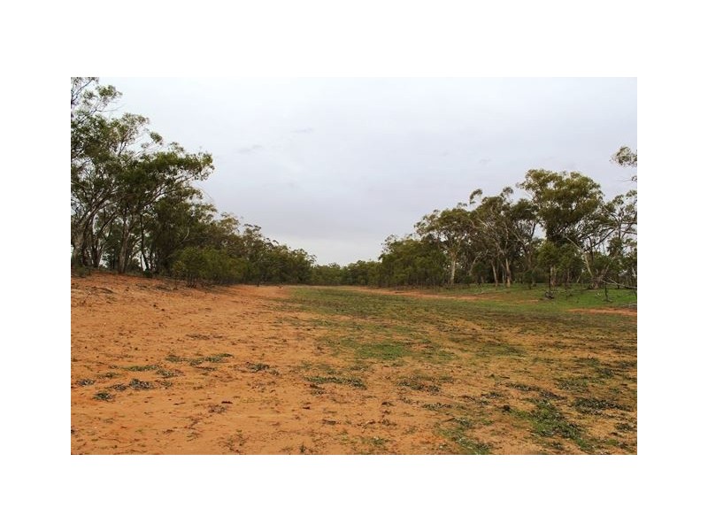 * Back Booroomugga, Cobar NSW 2835