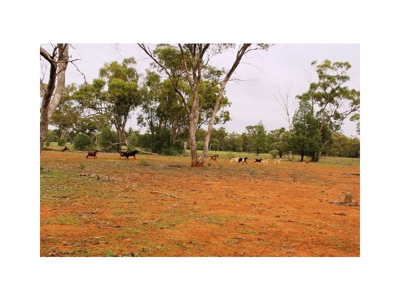 * Back Booroomugga, Cobar NSW 2835