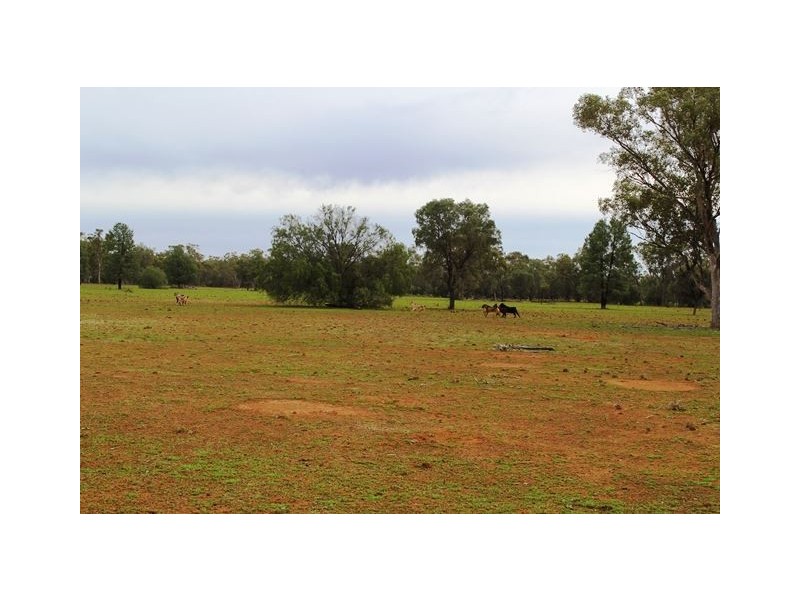 * Back Booroomugga, Cobar NSW 2835