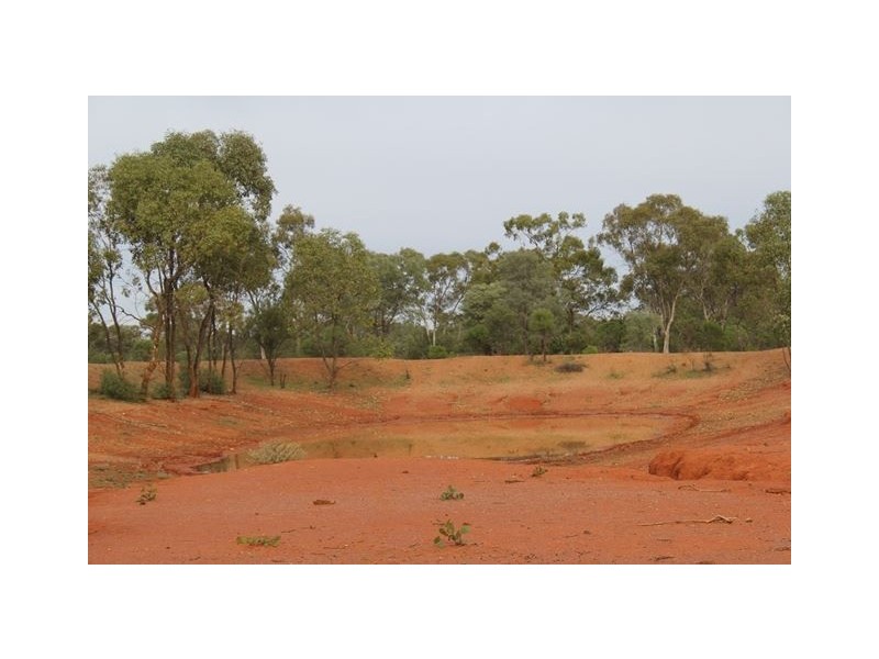 * Back Booroomugga, Cobar NSW 2835