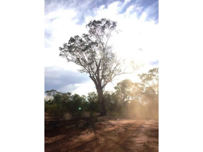 * Back Booroomugga, Cobar NSW 2835