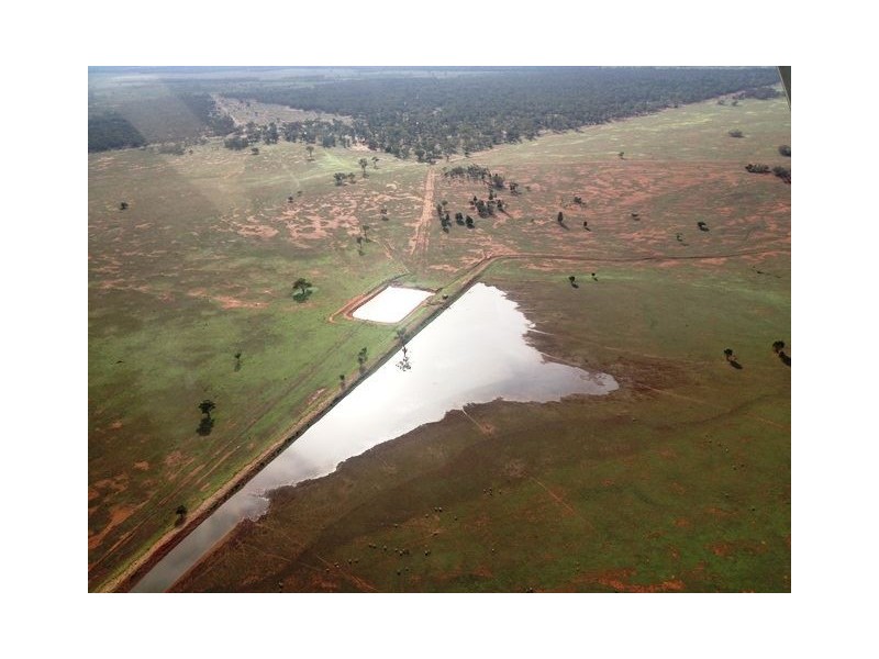 * Koree, Cobar NSW 2835