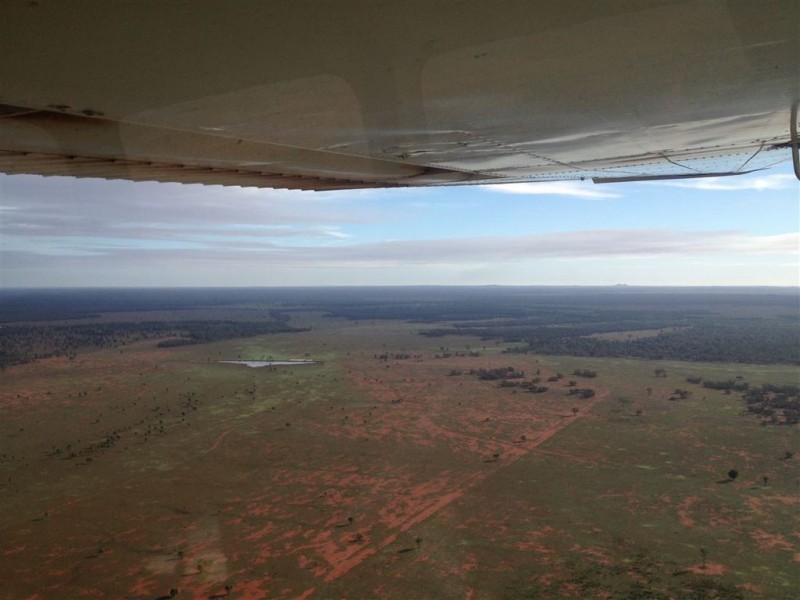 * Koree, Cobar NSW 2835