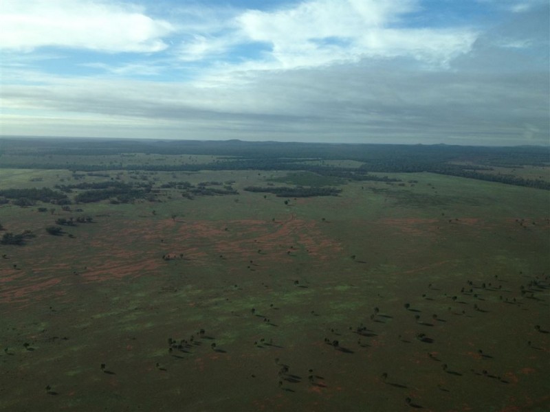 * Koree, Cobar NSW 2835