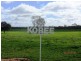 * Koree, Cobar NSW 2835