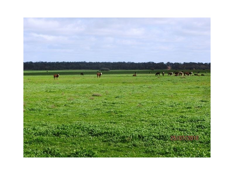 * Koree, Cobar NSW 2835