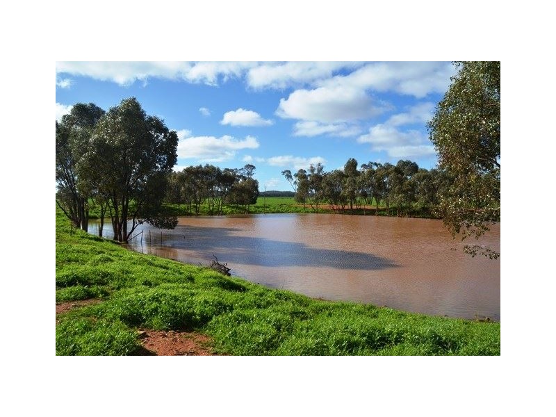 * Koree, Cobar NSW 2835