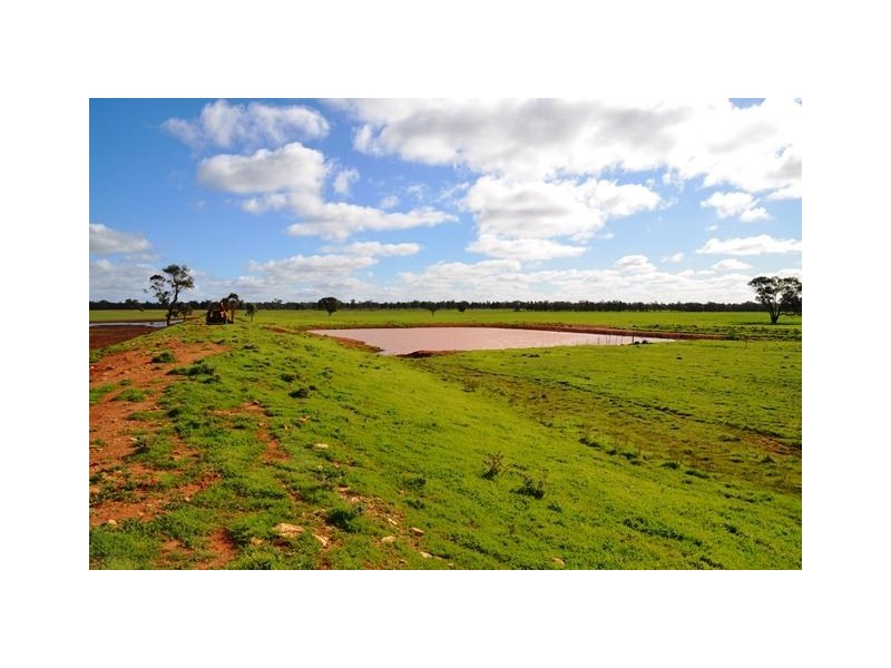 * Koree, Cobar NSW 2835