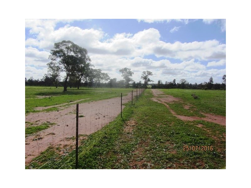 * Koree, Cobar NSW 2835