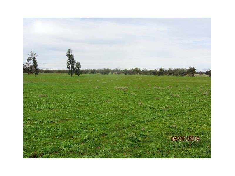 Irisvale Burthong Road, Nymagee, Cobar NSW 2835