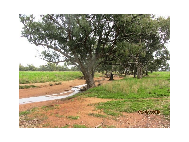 Irisvale Burthong Road, Nymagee, Cobar NSW 2835