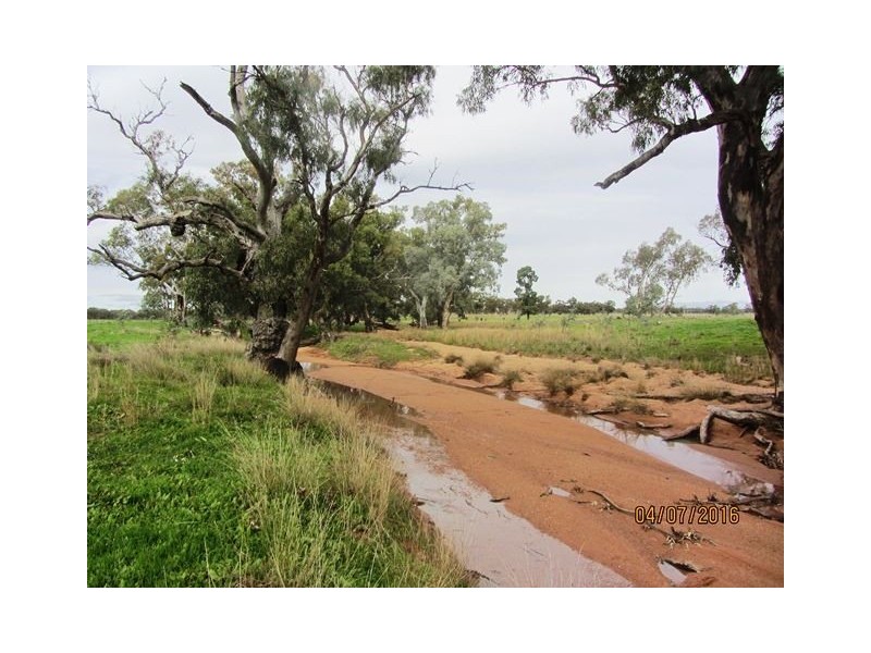 Irisvale Burthong Road, Nymagee, Cobar NSW 2835