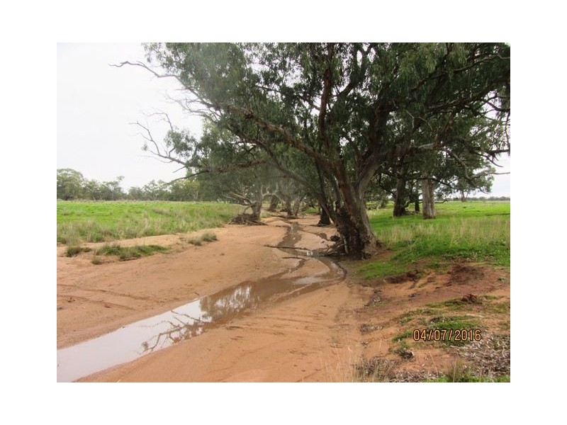 Irisvale Burthong Road, Nymagee, Cobar NSW 2835