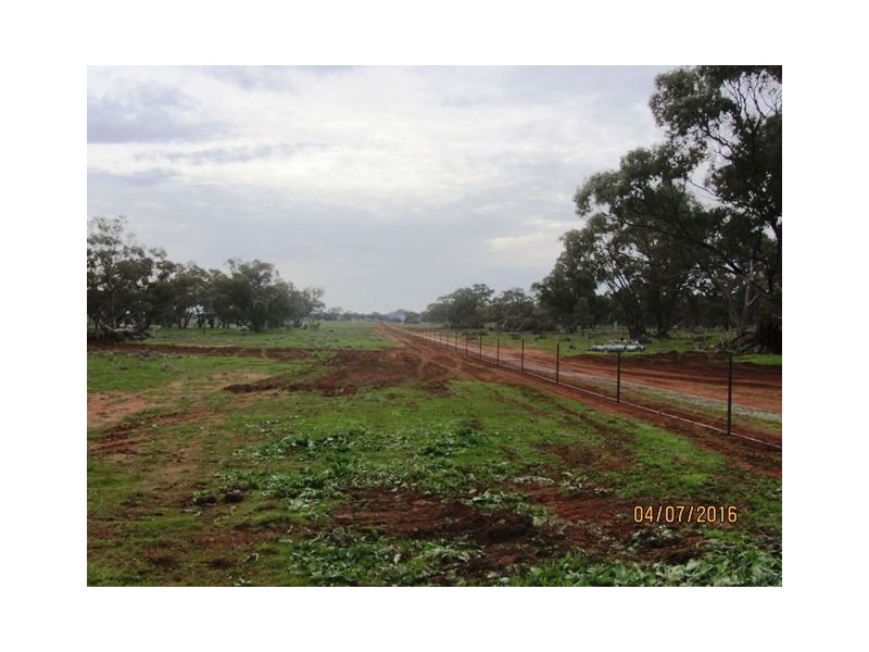 Irisvale Burthong Road, Nymagee, Cobar NSW 2835