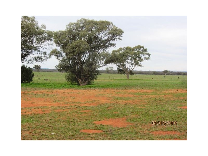 Irisvale Burthong Road, Nymagee, Cobar NSW 2835