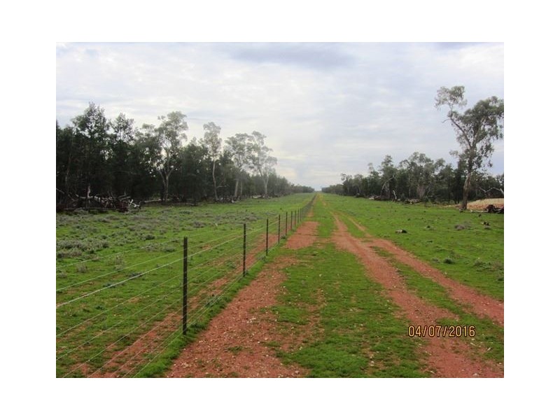 Irisvale Burthong Road, Nymagee, Cobar NSW 2835