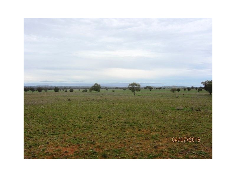 Irisvale Burthong Road, Nymagee, Cobar NSW 2835