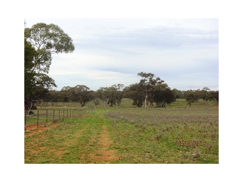 Irisvale Burthong Road, Nymagee, Cobar NSW 2835
