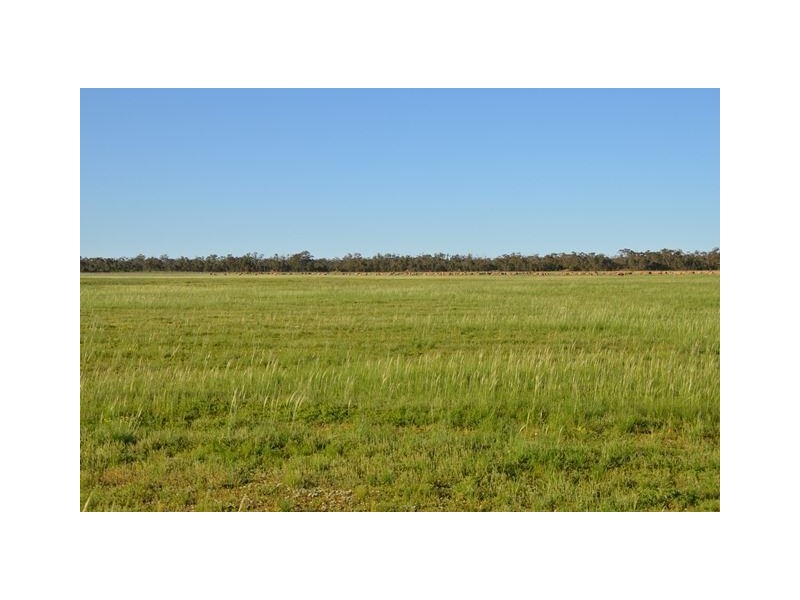 * Darling Downs, Cobar NSW 2835