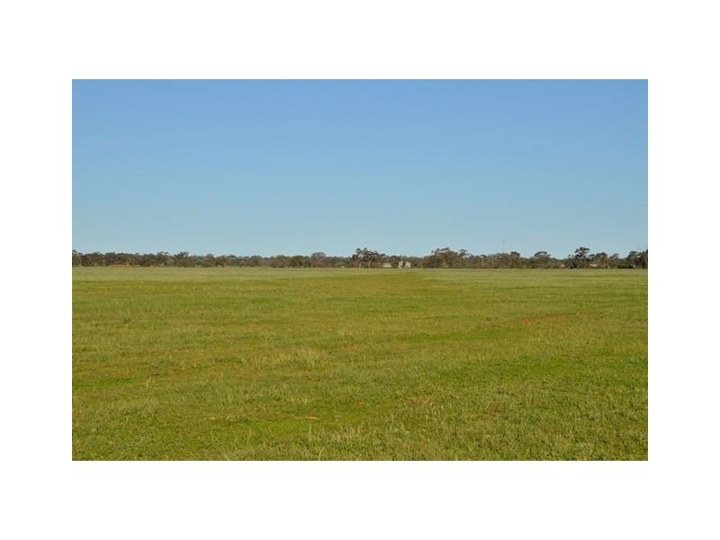 * Darling Downs, Cobar NSW 2835
