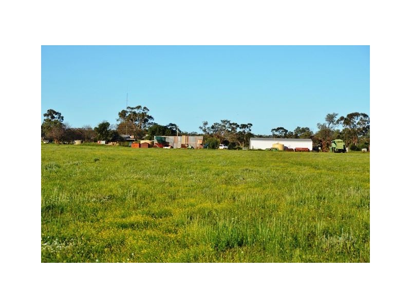 * Darling Downs, Cobar NSW 2835