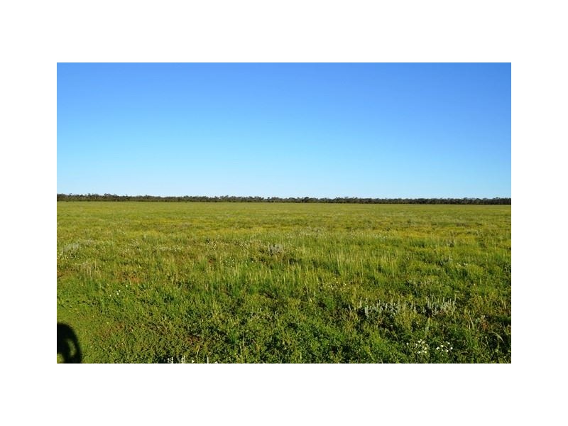 * Darling Downs, Cobar NSW 2835