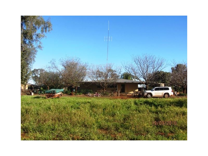 * Darling Downs, Cobar NSW 2835