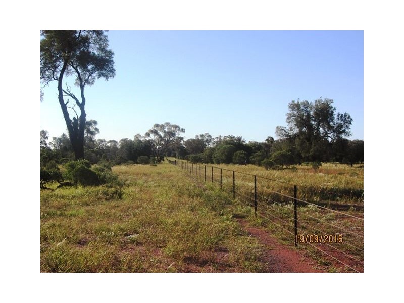 * Darling Downs, Cobar NSW 2835
