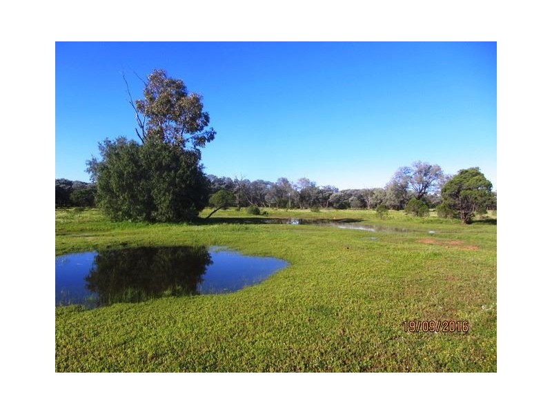 * Darling Downs, Cobar NSW 2835