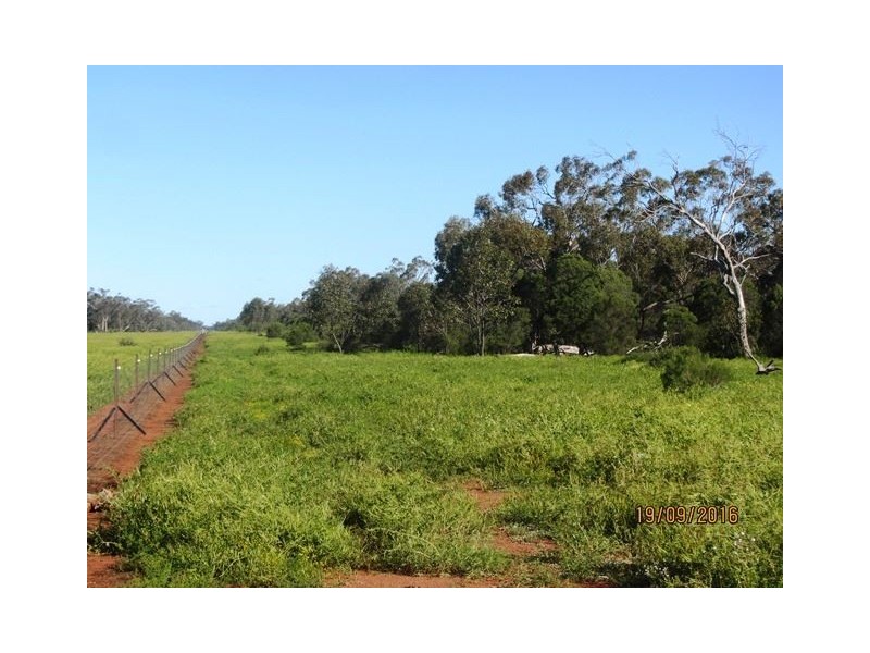 * Darling Downs, Cobar NSW 2835