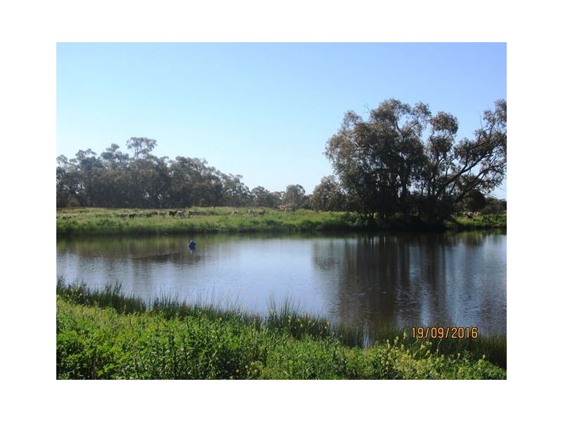 * Darling Downs, Cobar NSW 2835